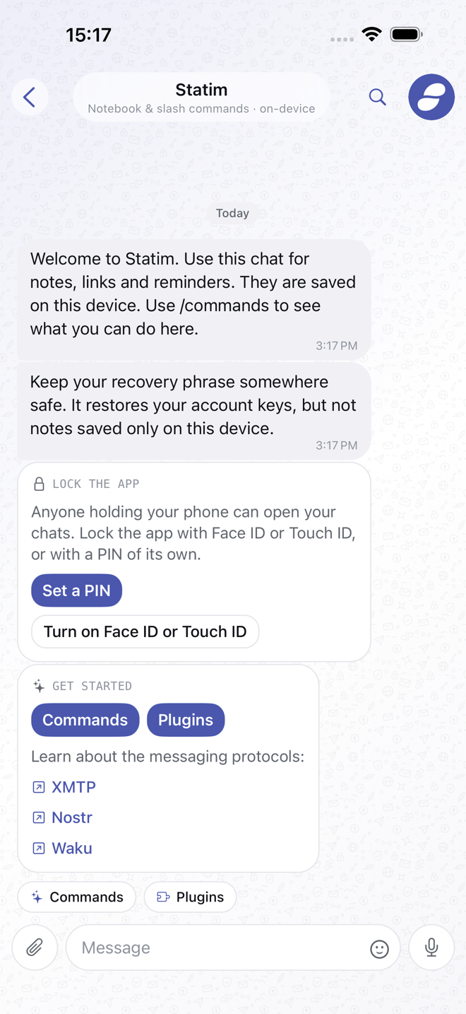 The Statim chat with slash command chips above the composer