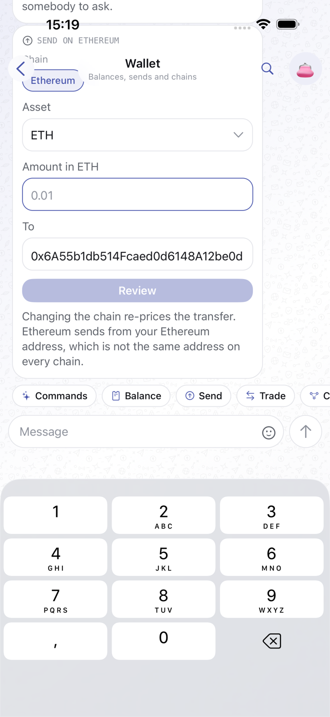 The send form: chain, asset, amount, recipient and review