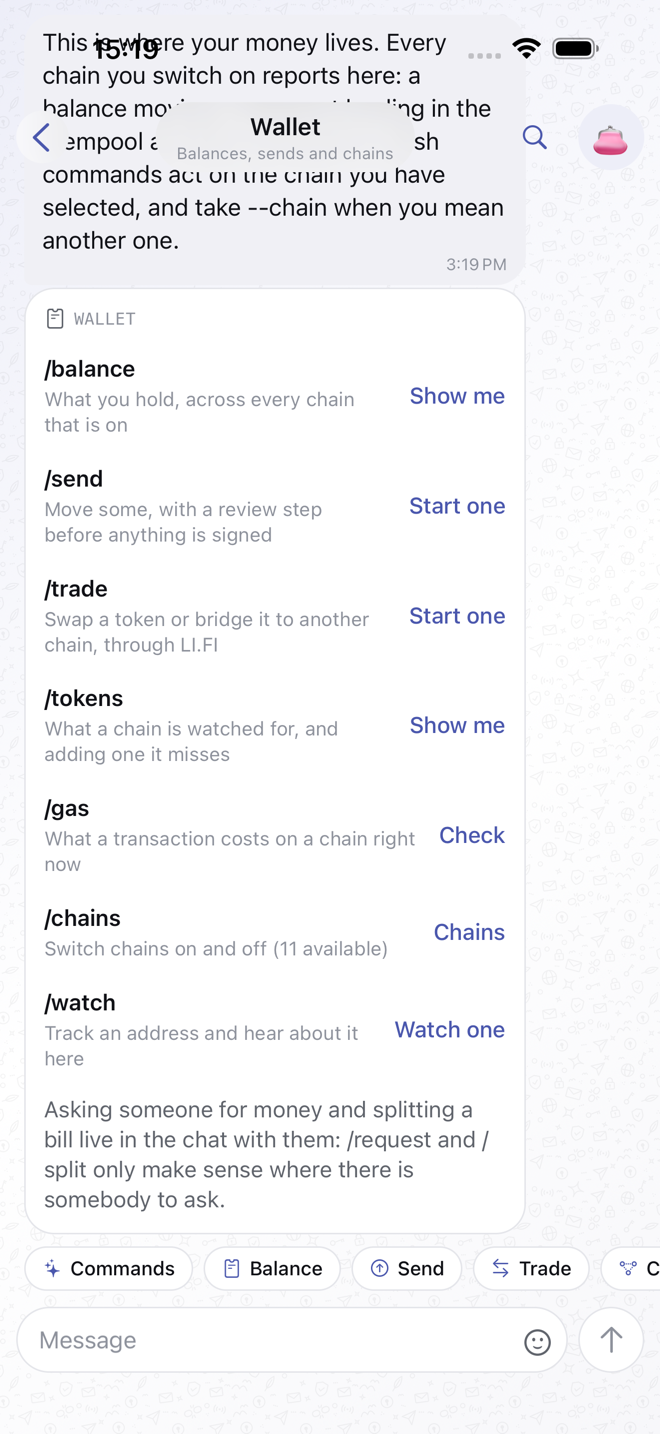 The Wallet chat with its slash command chips